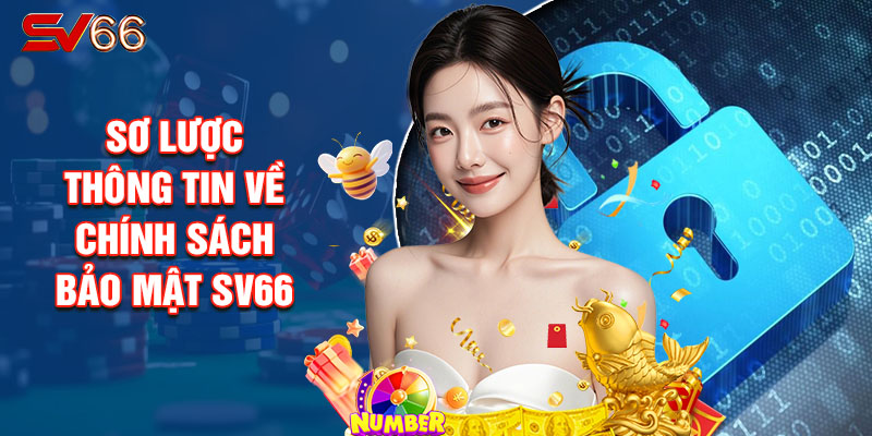 Sơ Lược Thông Tin Về Chính Sách Bảo Mật Sv66