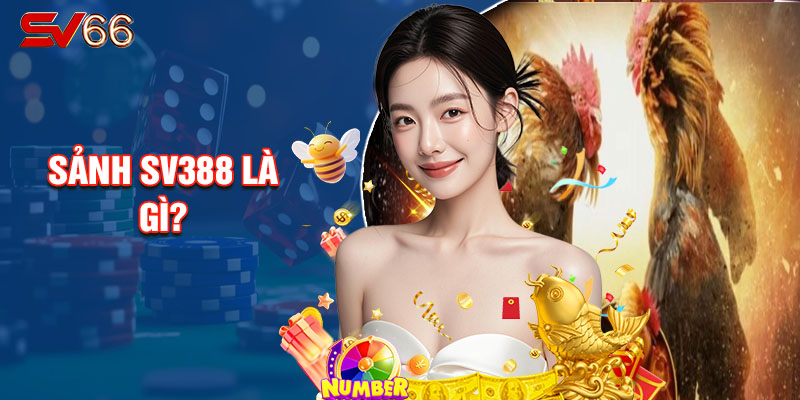 Sảnh Sv388 Là Gì?