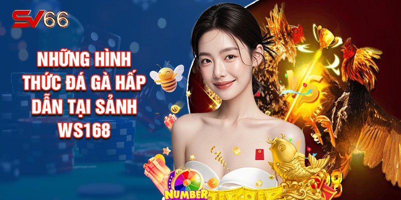 Những Hình Thức Đá Gà Hấp Dẫn Tại Sảnh WS168