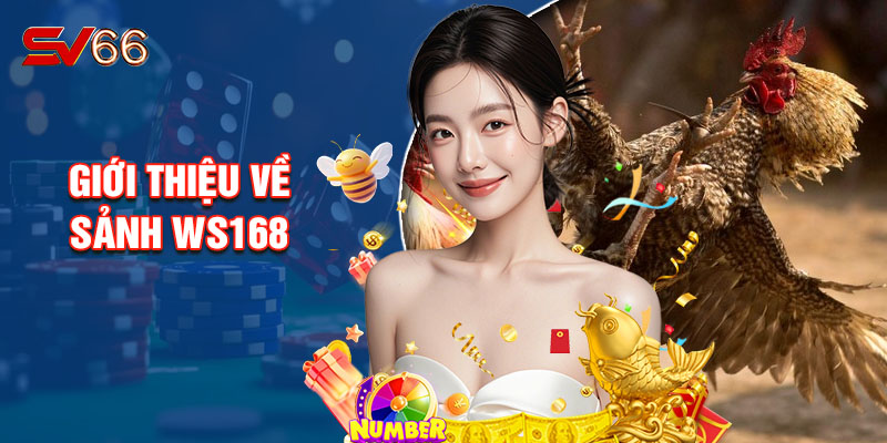 Giới Thiệu Về Sảnh Ws168