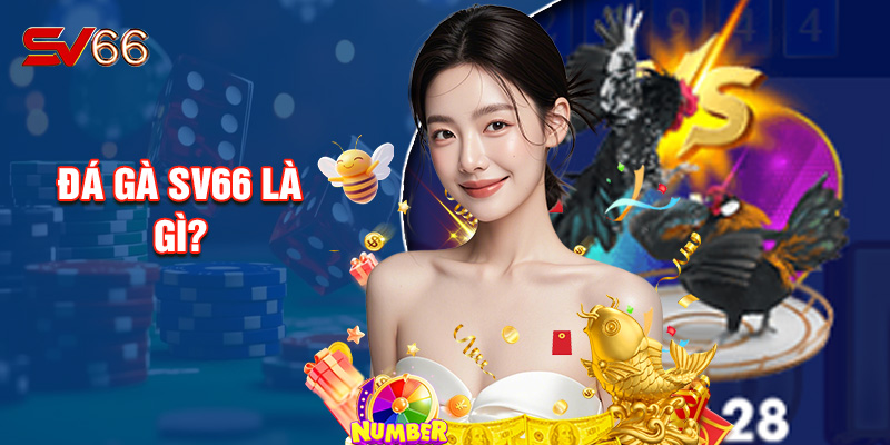 Đá Gà SV66 Là Gì?