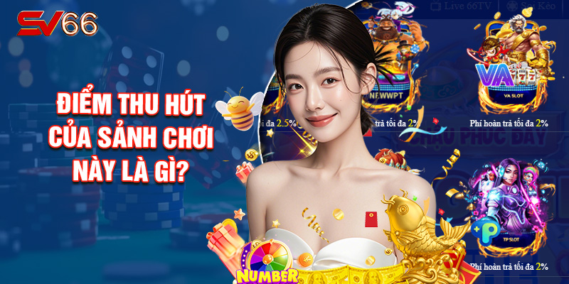 Điểm Thu Hút Của Sảnh Chơi Này Là Gì?