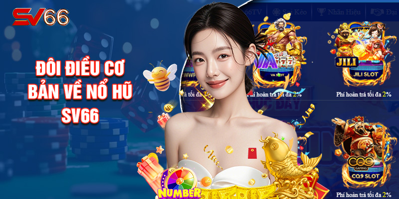 Đôi Điều Cơ Bản Về Nổ Hũ SV66