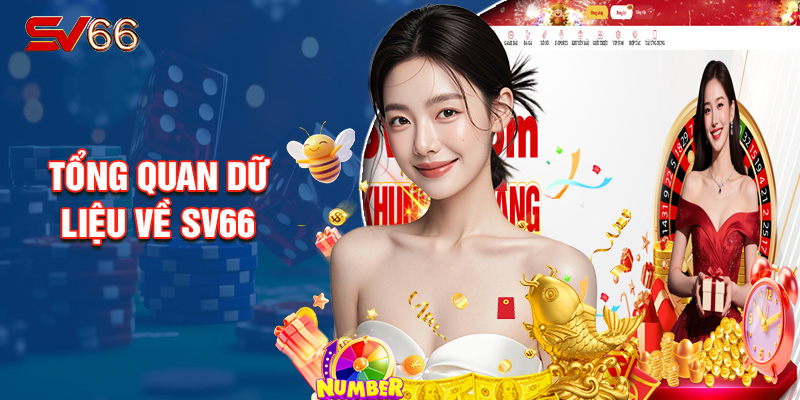 Tổng Quan Dữ Liệu Về SV66